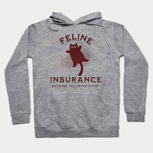 Feline Insurance to ensure Hoodie